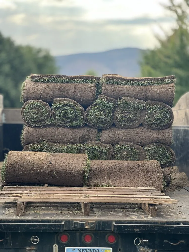 Expert lawn care service for beautiful yards across Reno, NV - Blue Planet Maintenance