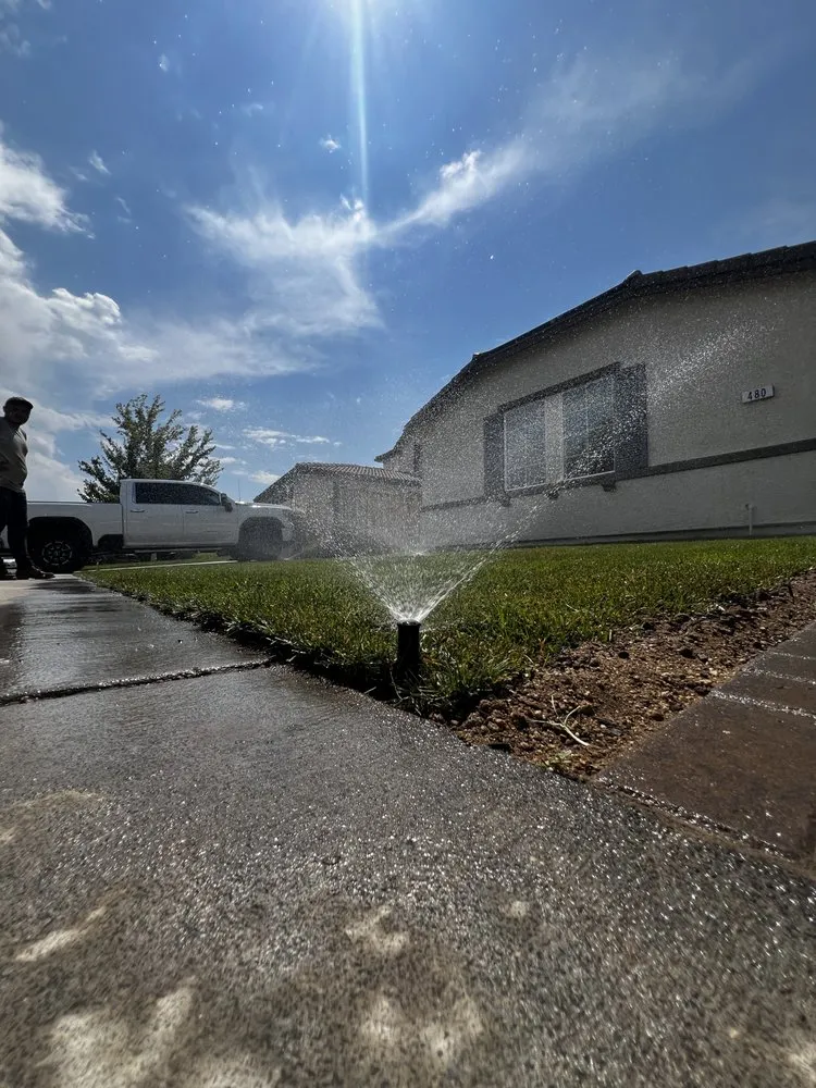 Top-rated landscaping services experts serving Reno, NV - Blue Planet Maintenance