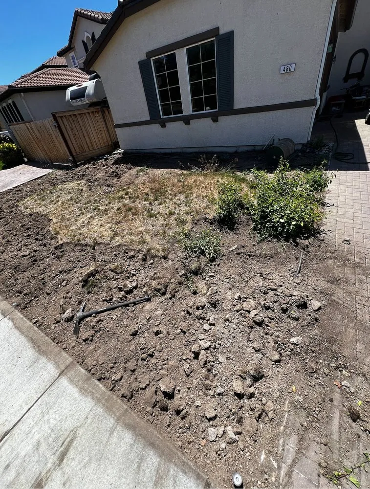 Local residential landscaping experts serving Reno, NV - Blue Planet Maintenance