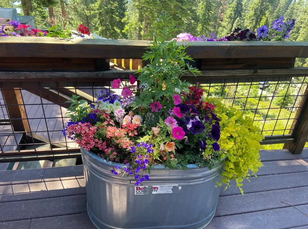 Custom landscape installation experts serving Reno, NV - Blue Planet Maintenance