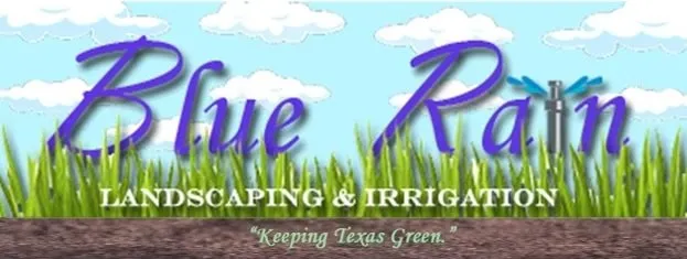Top-rated yard maintenance in Kemp, TX by Blue Rain Landscape & Irrigation