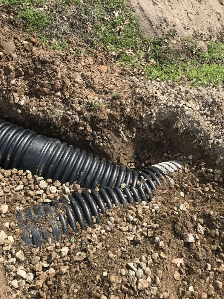 Affordable lawn care service for year-round maintenance in Kemp, TX by Blue Rain Landscape & Irrigation