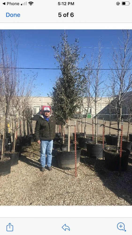 Trusted yard cleanup service in Kemp, TX by Blue Rain Landscape & Irrigation