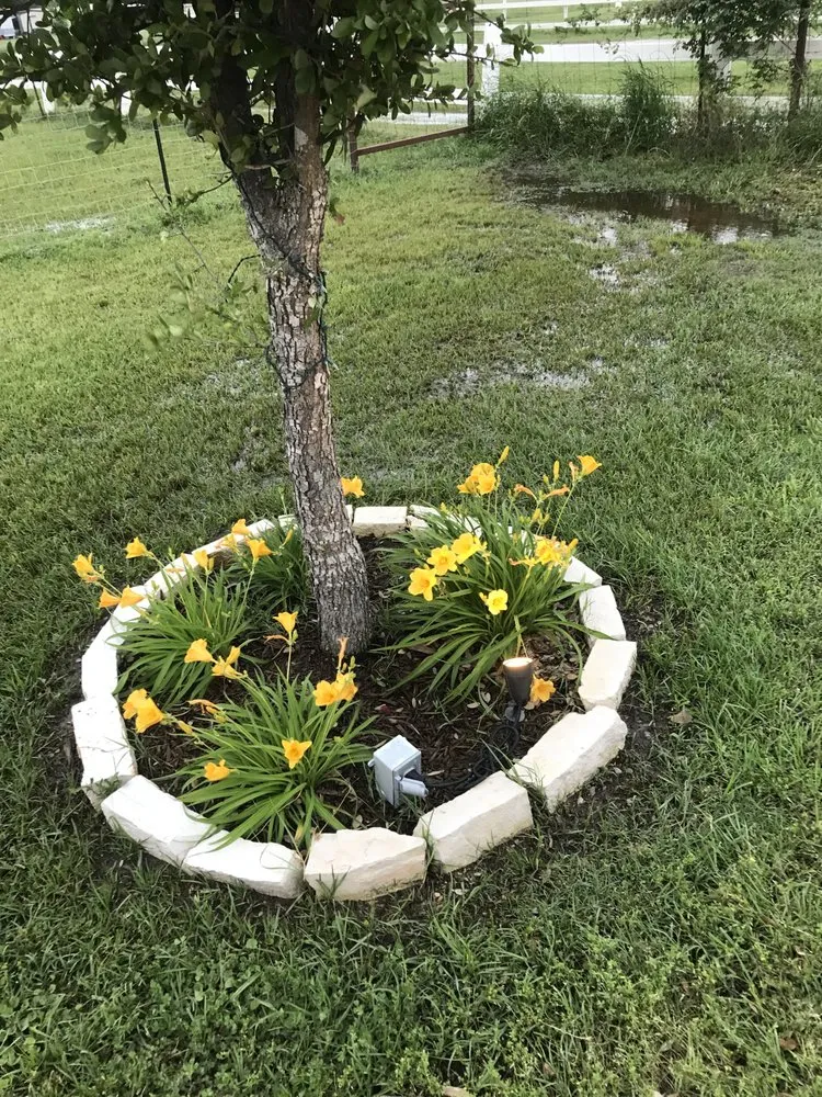 Local yard cleanup service for beautiful yards across Kemp, TX - Blue Rain Landscape & Irrigation