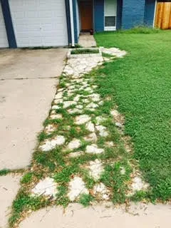 Custom outdoor landscaping experts serving Austin, TX - BLUE Renovation & Landscape