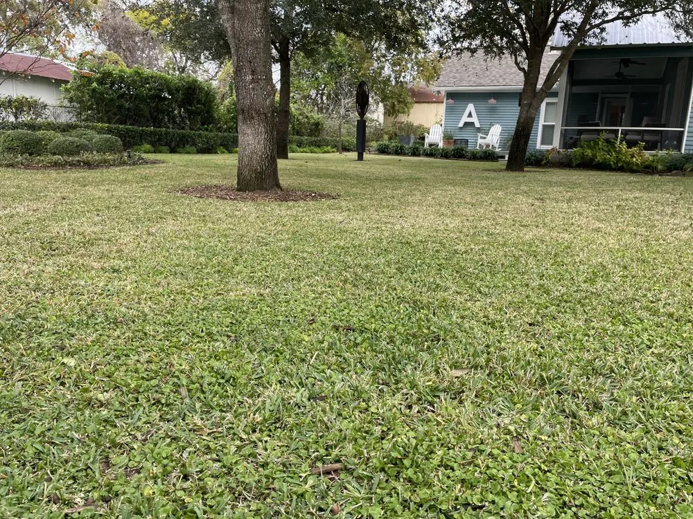 Affordable garden landscaping for year-round maintenance in New Ulm, TX by Blue Ribbon Grounds