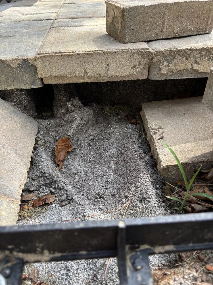 Reliable lawn care service in Buford, GA - Blue Ribbon Landscaping