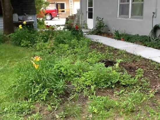 Top-rated yard maintenance with custom design in Fairfield, IA by Blue Ribbon Lawn & Landscaping