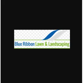 Expert yard cleanup service in Fort Smith, AR by Blue Ribbon Lawn and Landscaping