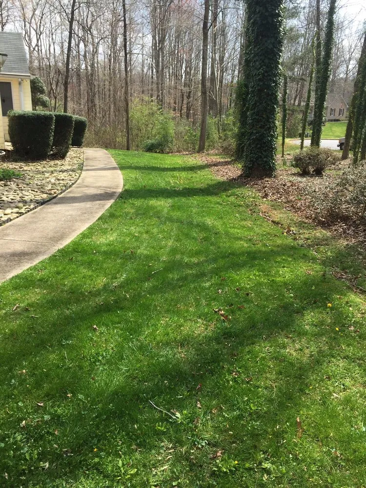 Affordable landscaping services experts serving Gainesville, GA - Blue Ribbon Lawn Care