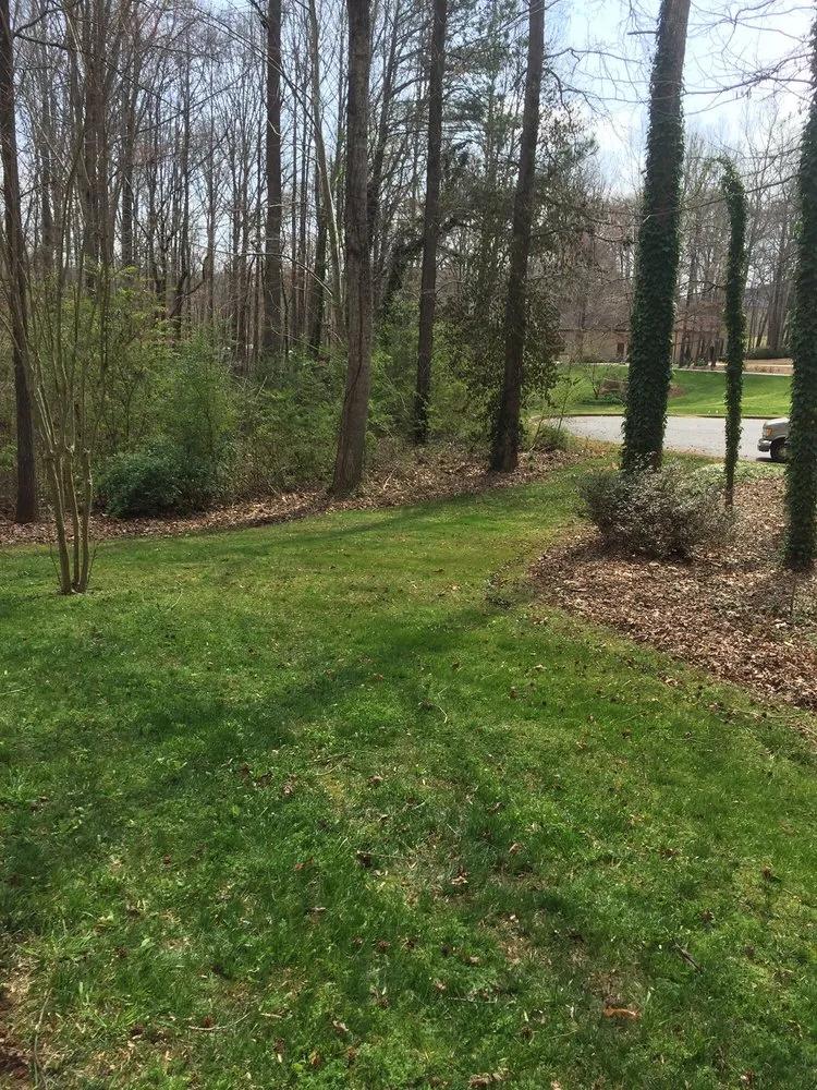 Top-rated outdoor landscaping with custom design across Gainesville, GA - Blue Ribbon Lawn Care