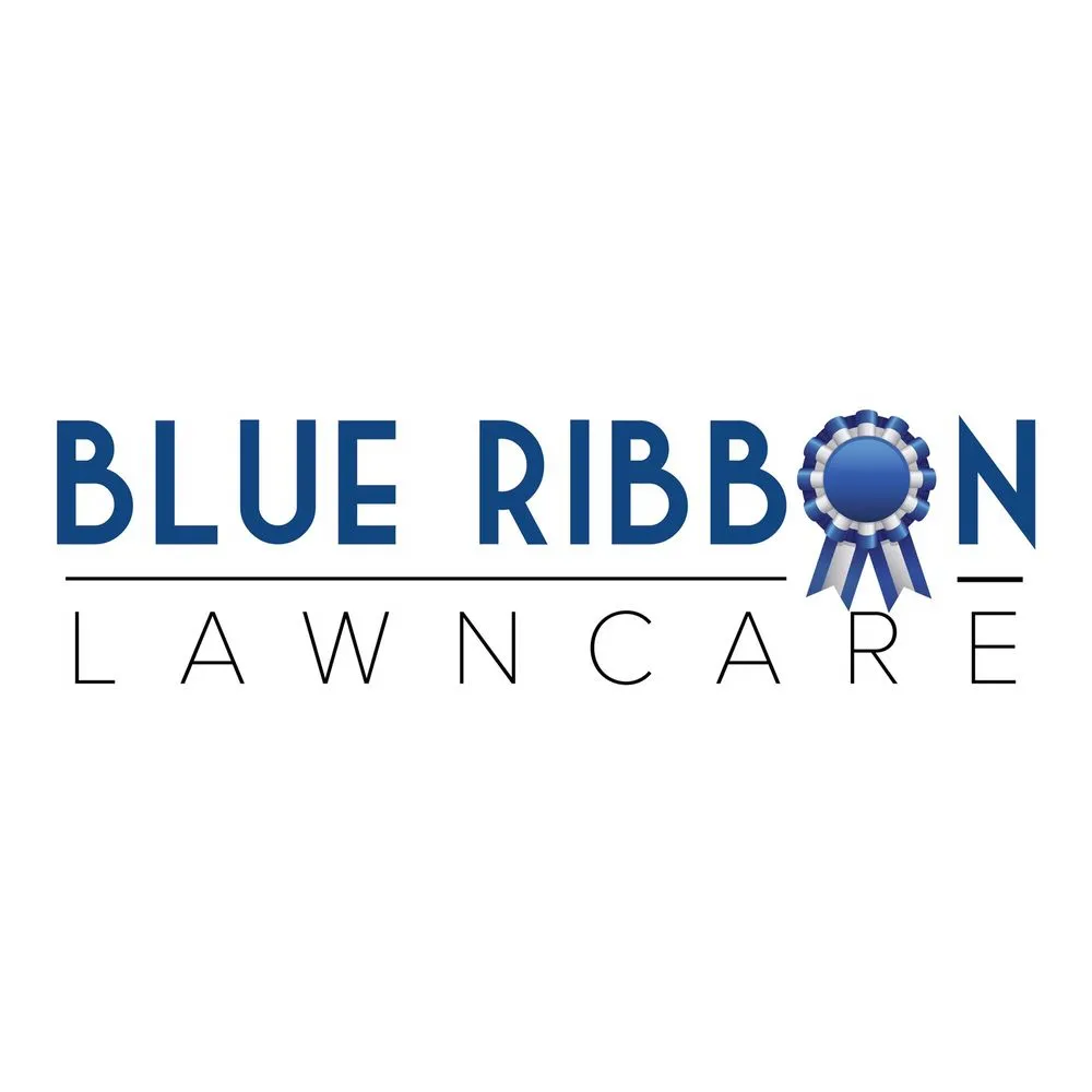 Expert yard cleanup service for beautiful yards in Gainesville, GA by Blue Ribbon Lawn Care