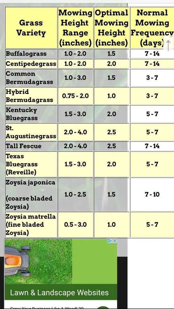 Local garden landscaping in Gainesville, GA - Blue Ribbon Lawn Care