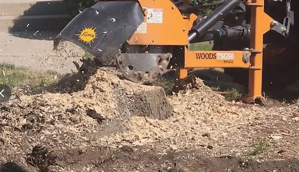 Professional lawn mowing service with custom design in Jackson, WI by Blue Ribbon Post Holes and Stump Removal Service and Rental