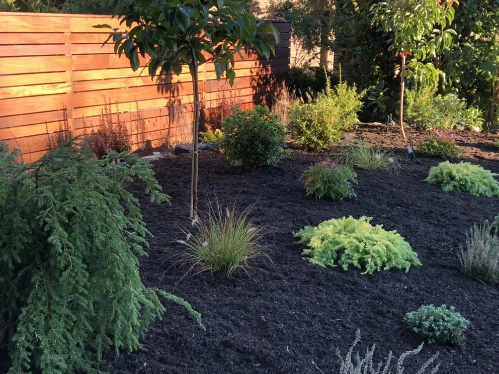 Expert lawn care service in Snohomish, WA by Blue Ribbon Scapes