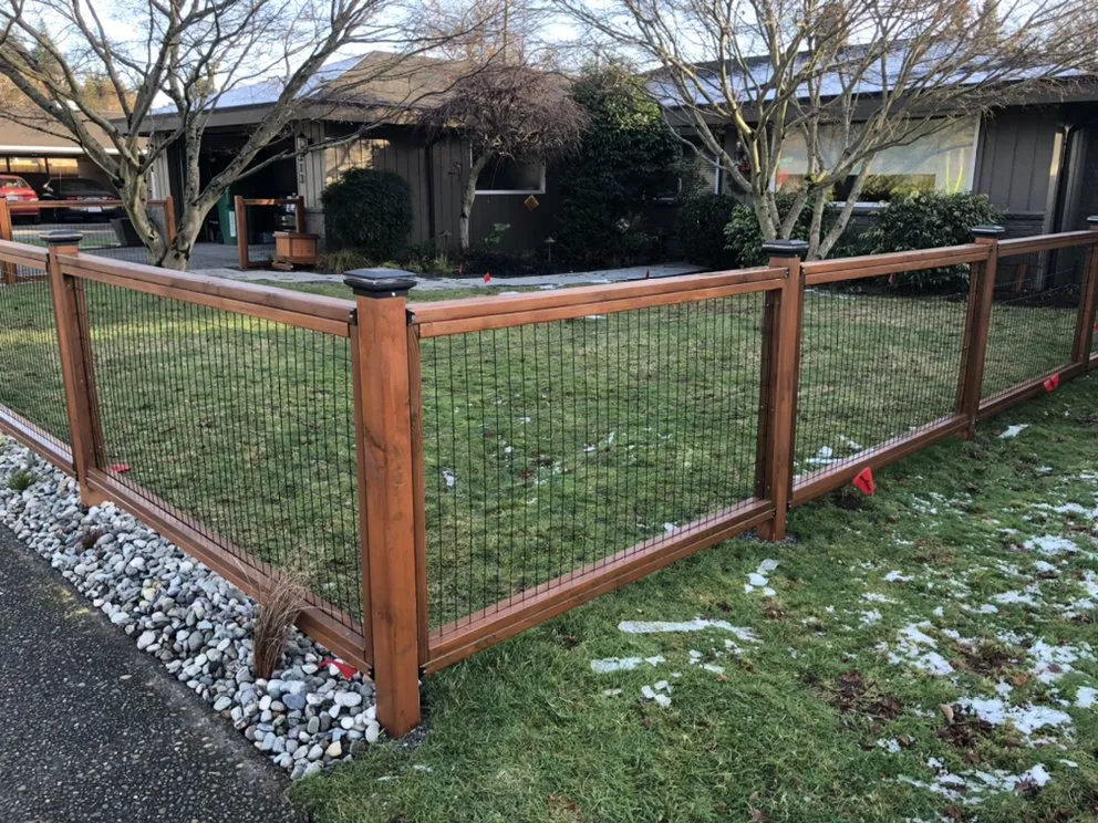 Trusted lawn care service in Snohomish, WA - Blue Ribbon Scapes