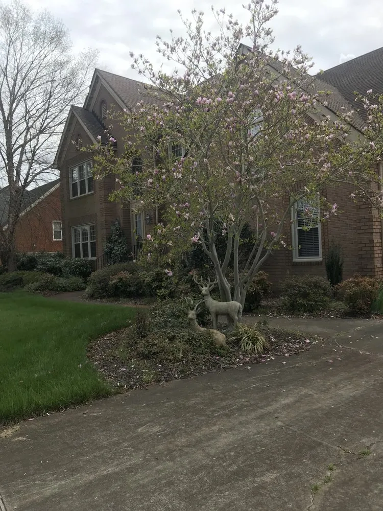 Professional lawn care service experts serving Virginia Beach, VA - Blue Ribbon Surfaces