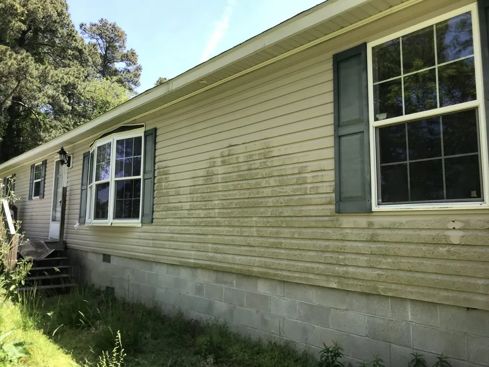 Affordable lawn care service experts serving Virginia Beach, VA - Blue Ribbon Surfaces