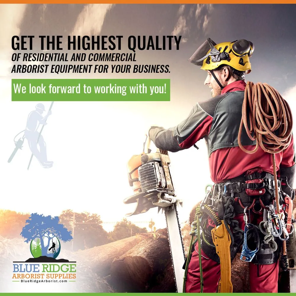 Trusted yard cleanup service experts serving Culpeper, VA - Blue Ridge Arborist