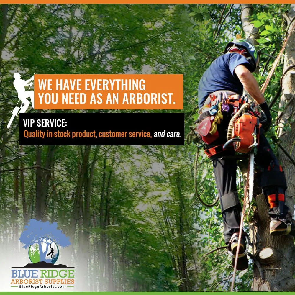 Trusted outdoor landscaping near you in Culpeper, VA by Blue Ridge Arborist