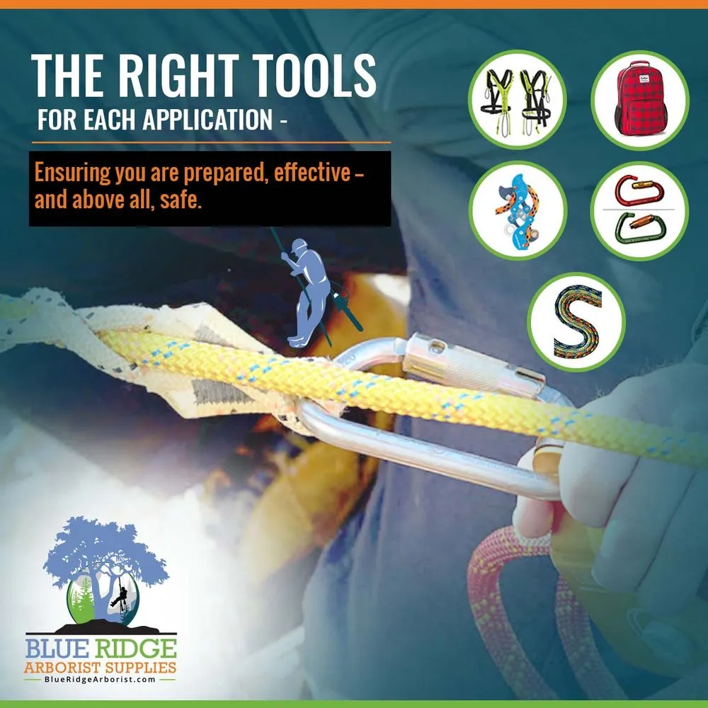 Reliable outdoor landscaping for beautiful yards across Culpeper, VA - Blue Ridge Arborist