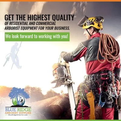 Blue Ridge Arborist Logo