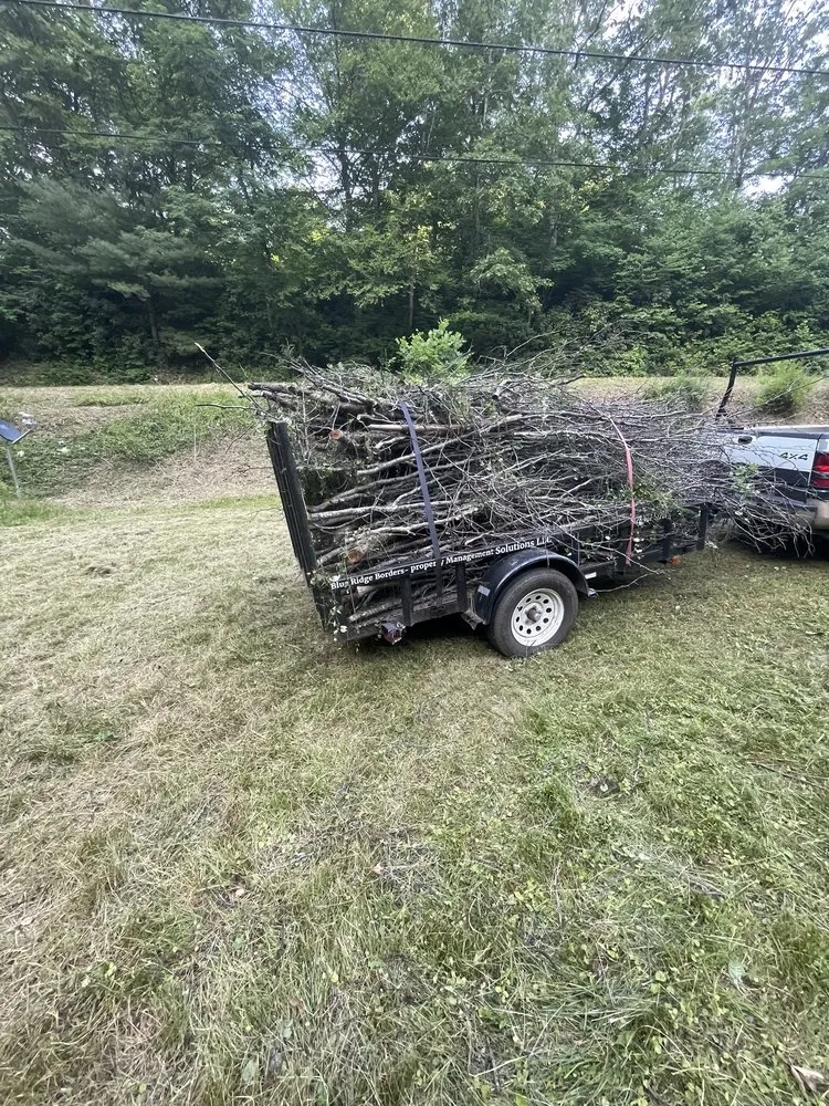 Reliable garden landscaping experts serving Burnsville, NC - Blue Ridge Borders - Property Management Solutions