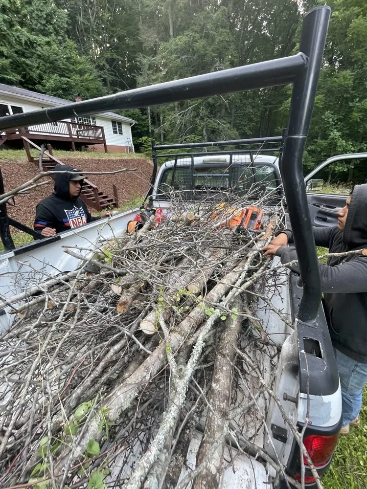 Top-rated yard maintenance in Burnsville, NC by Blue Ridge Borders - Property Management Solutions