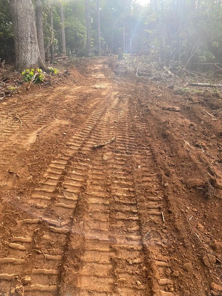 Custom residential landscaping near you across Burnsville, NC - Blue Ridge Borders - Property Management Solutions