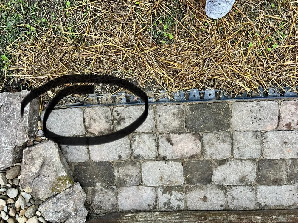 Professional lawn mowing service experts serving Louisville, TN - Blue Ridge Brothers