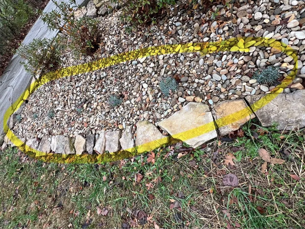 Reliable yard cleanup service for beautiful yards across Louisville, TN - Blue Ridge Brothers