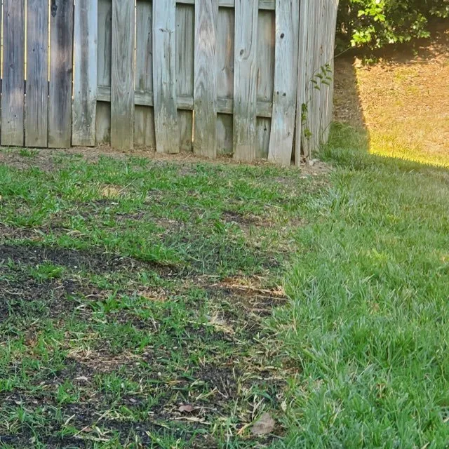 Professional outdoor landscaping in Madison Heights, VA - Blue Ridge Ground Maintenance & Landscaping