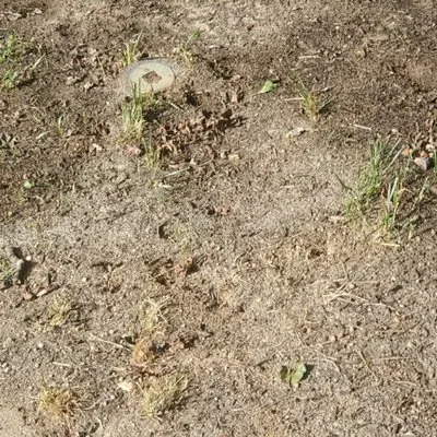 Blue Ridge Ground Maintenance & Landscaping