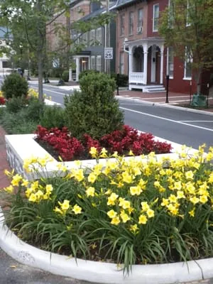 Blue Ridge Landscape & Design Logo