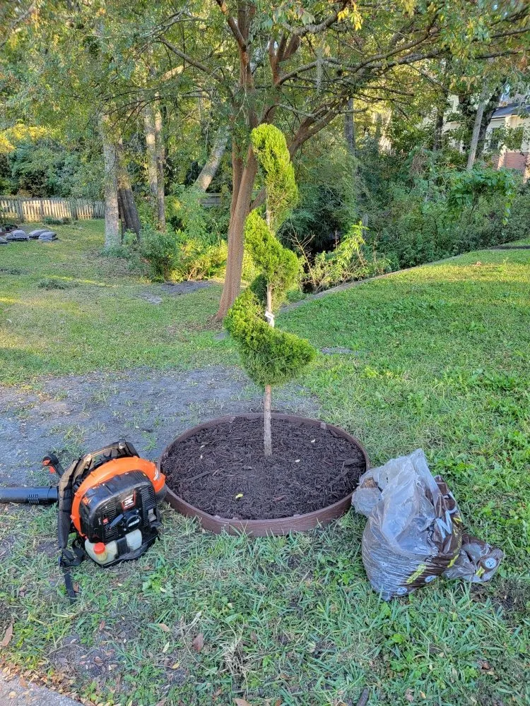 Local residential landscaping in Jacksonville, FL by Blue Ridge Landscape & Maintenance