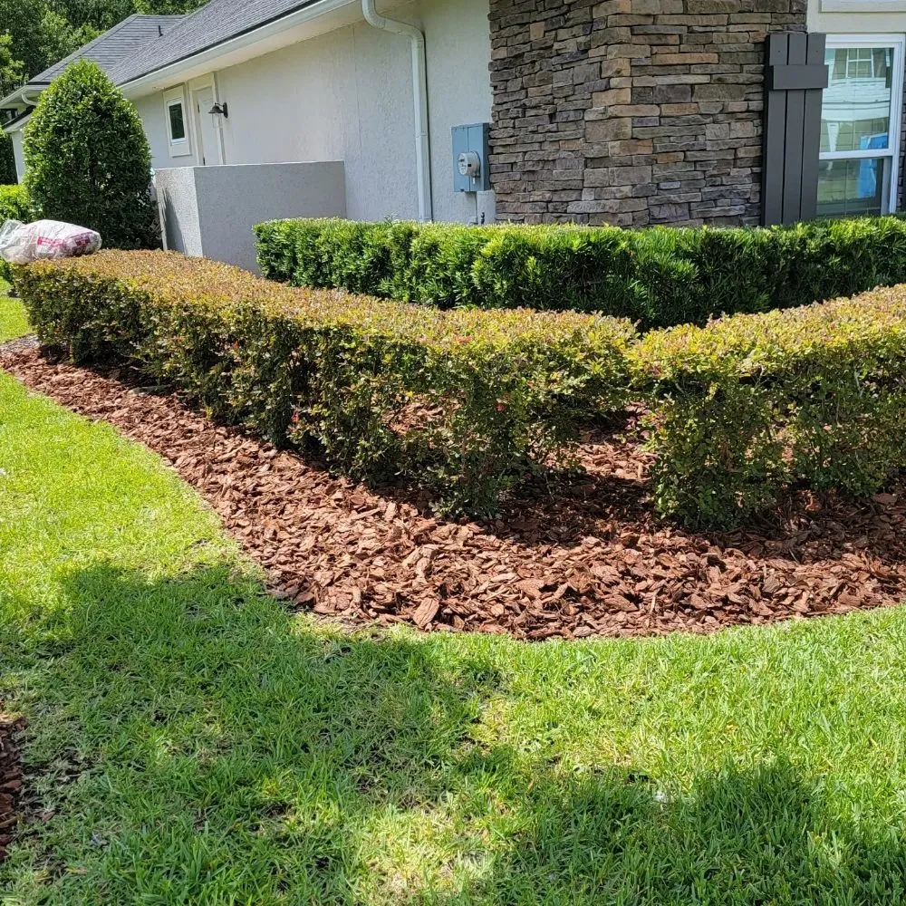 Custom yard maintenance near you in Jacksonville, FL by Blue Ridge Landscape & Maintenance