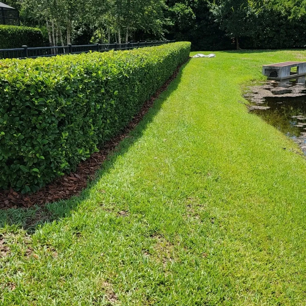 Top-rated outdoor landscaping near you across Jacksonville, FL - Blue Ridge Landscape & Maintenance