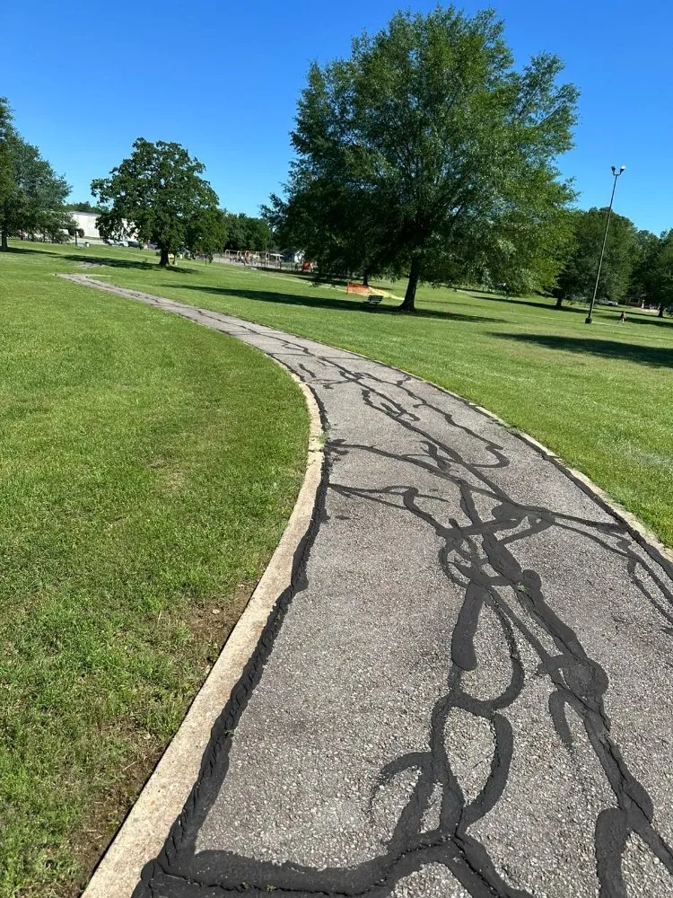 Professional lawn care service in Blue Ridge, TX - Blue Ridge Landscape