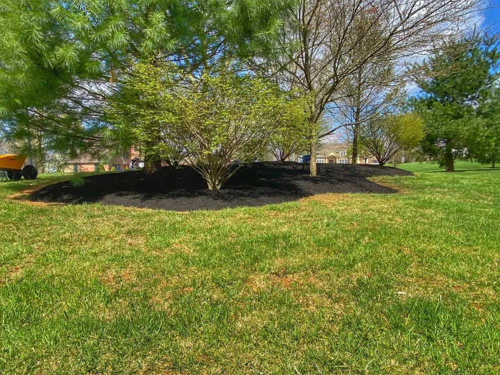 Expert lawn mowing service with custom design across Allentown, PA - Blue Ridge Landscape Contractors