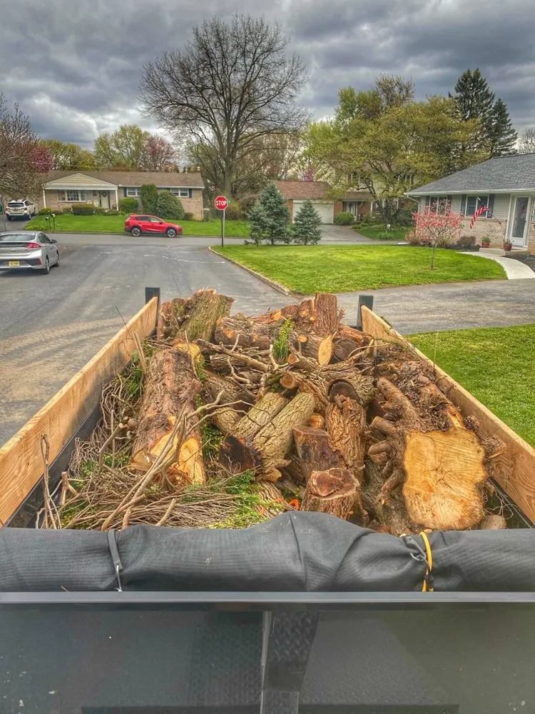 Reliable lawn mowing service in Allentown, PA by Blue Ridge Landscape Contractors