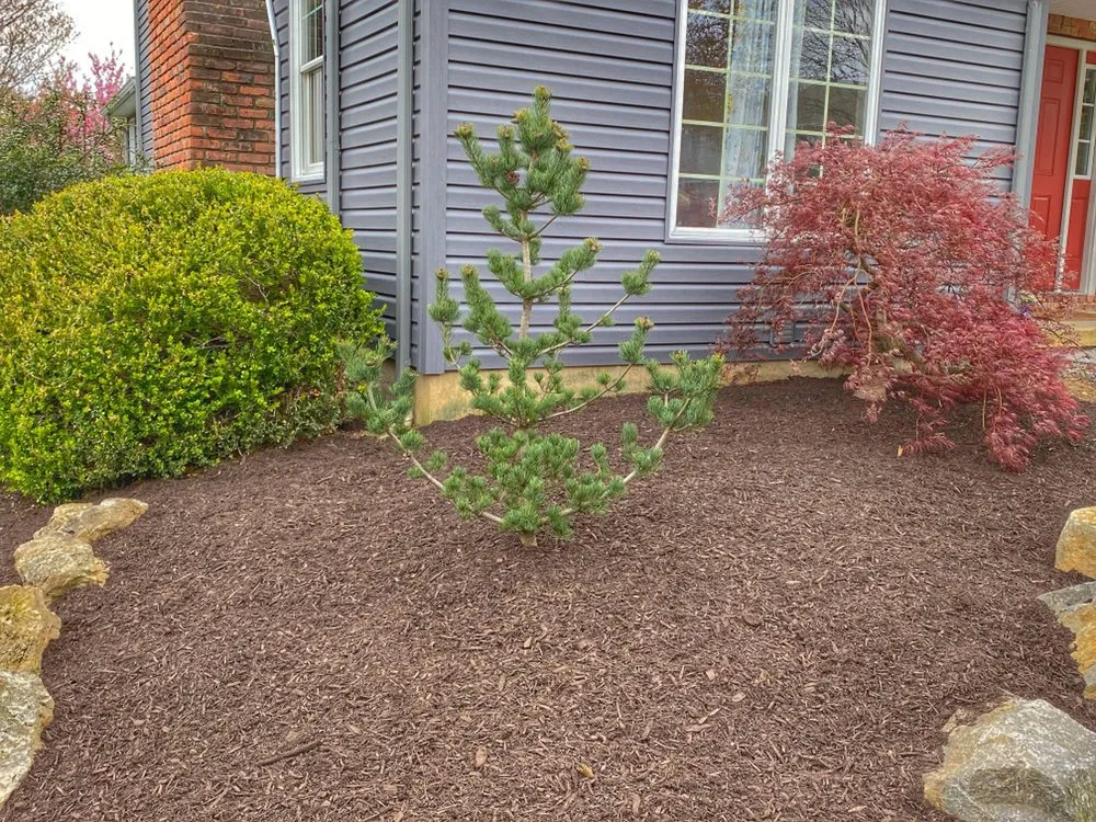 Professional yard cleanup service in Allentown, PA - Blue Ridge Landscape Contractors