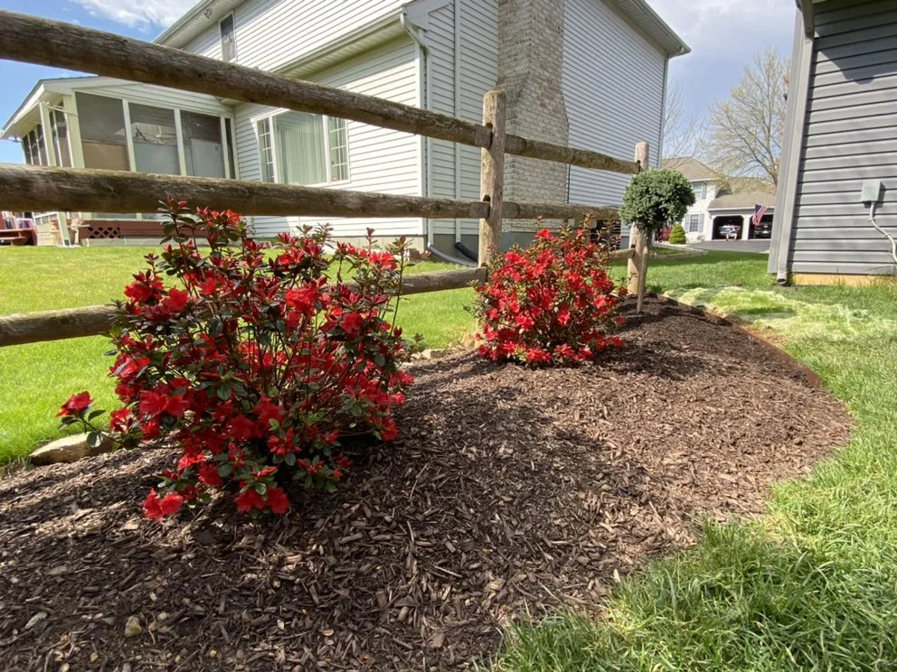 Trusted lawn care service in Allentown, PA by Blue Ridge Landscape Contractors