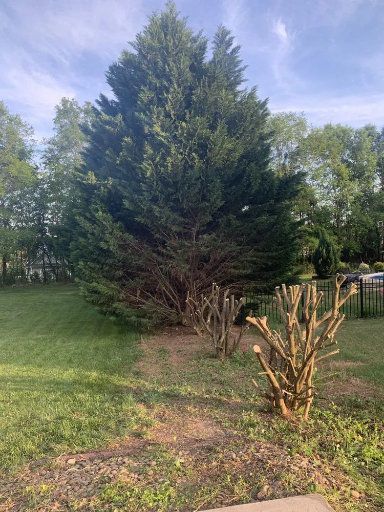 Expert outdoor landscaping for residential properties in Taylors, SC by Blue Ridge Landscape