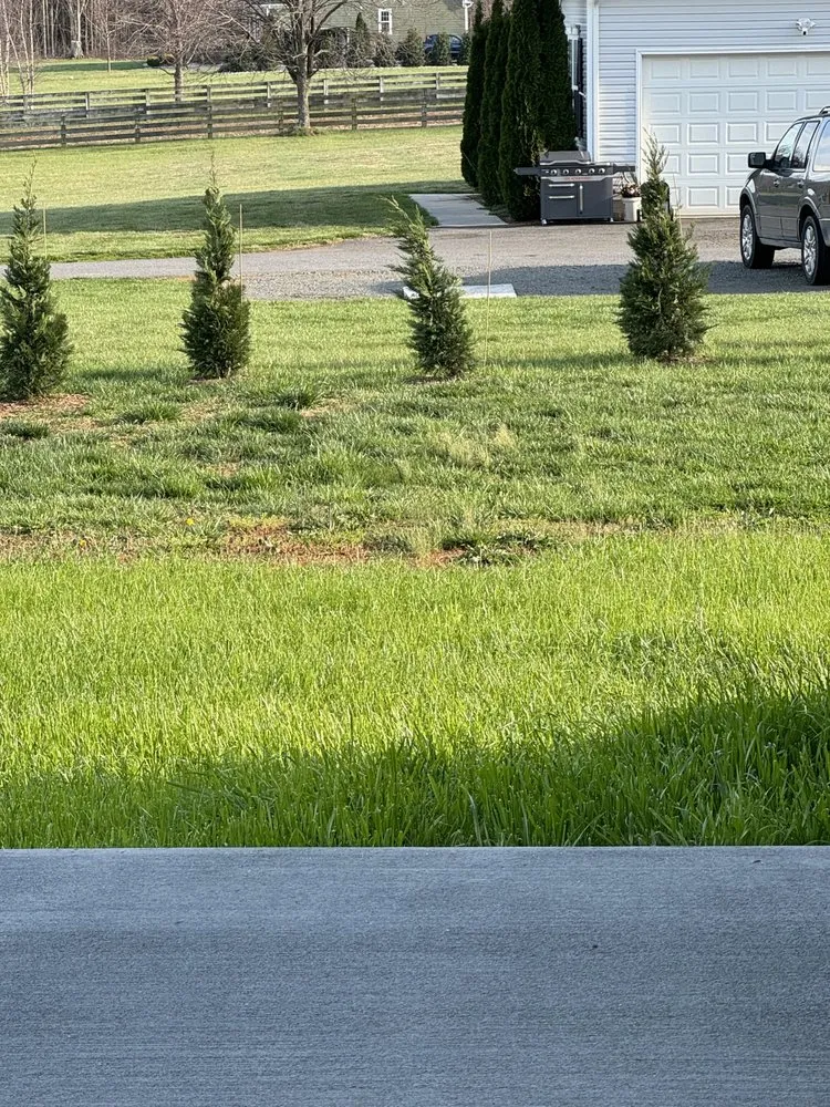 Local yard cleanup service experts serving Fredericksburg, VA - Blue Ridge Landscaping