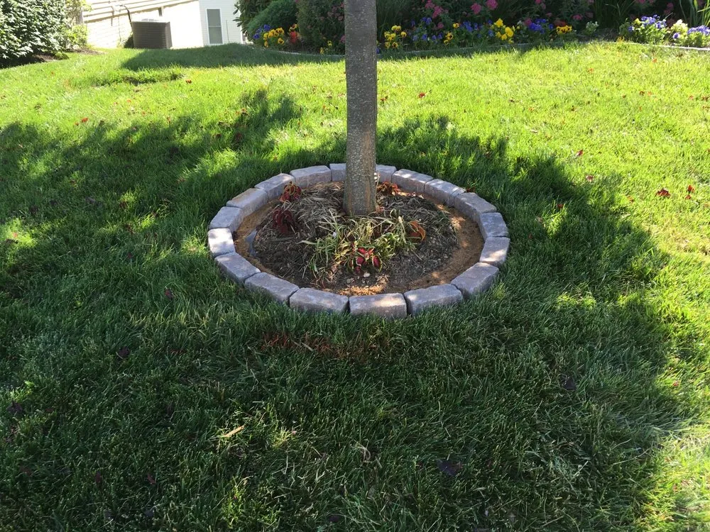 Top-rated landscape design for year-round maintenance across Fredericksburg, VA - Blue Ridge Landscaping