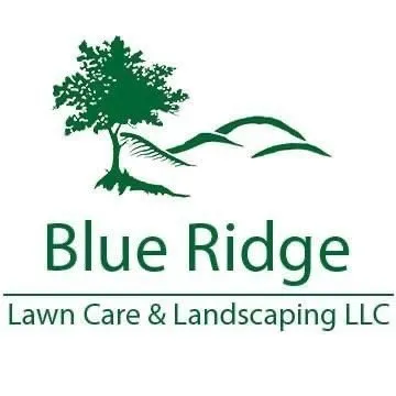 Local yard cleanup service in Stanley, VA by Blue Ridge Lawn Care and Landscaping