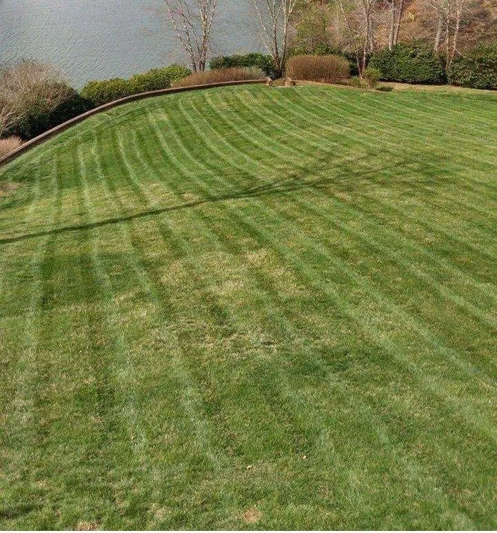 Reliable landscaping services in Hickory, NC by Blue Ridge Lawncare & Landscaping