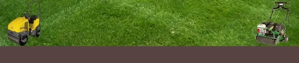 Blue Ridge Lawncare Logo