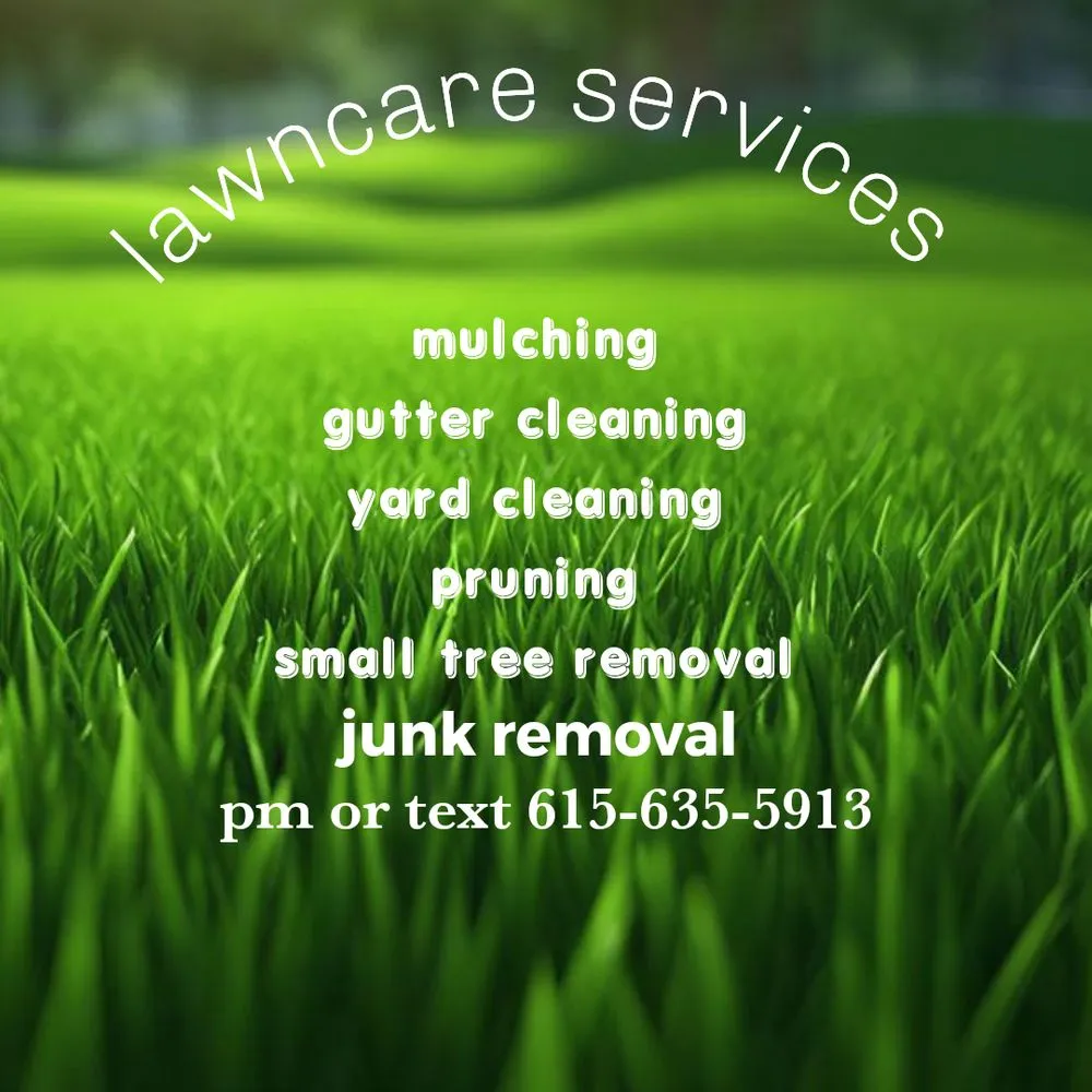 Professional yard cleanup service experts serving Craigsville, VA - Blue Ridge Lawncare Services