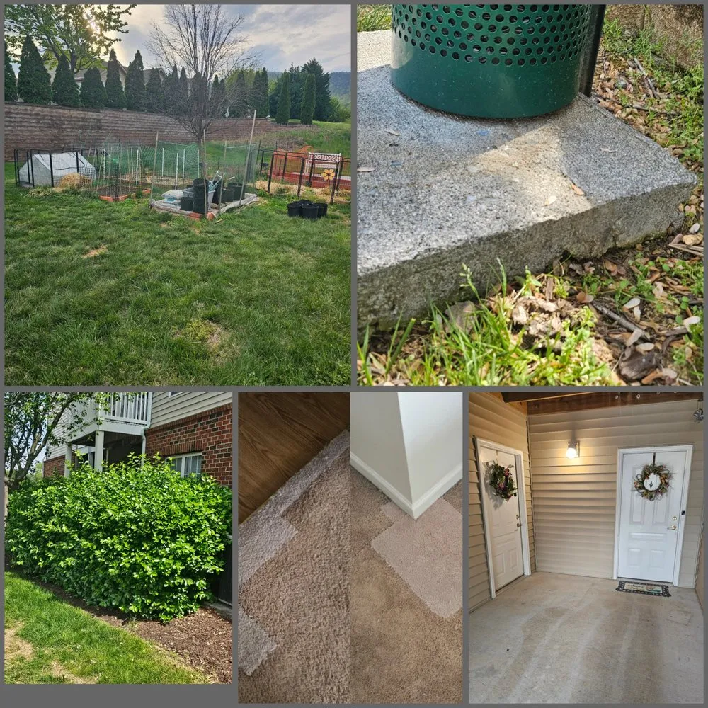 Local lawn mowing service in Port Republic, VA by Blue Ridge Property Management